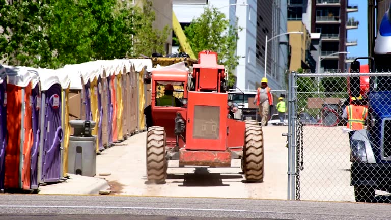 Trusted Foster City, CA Tree Removal Experts